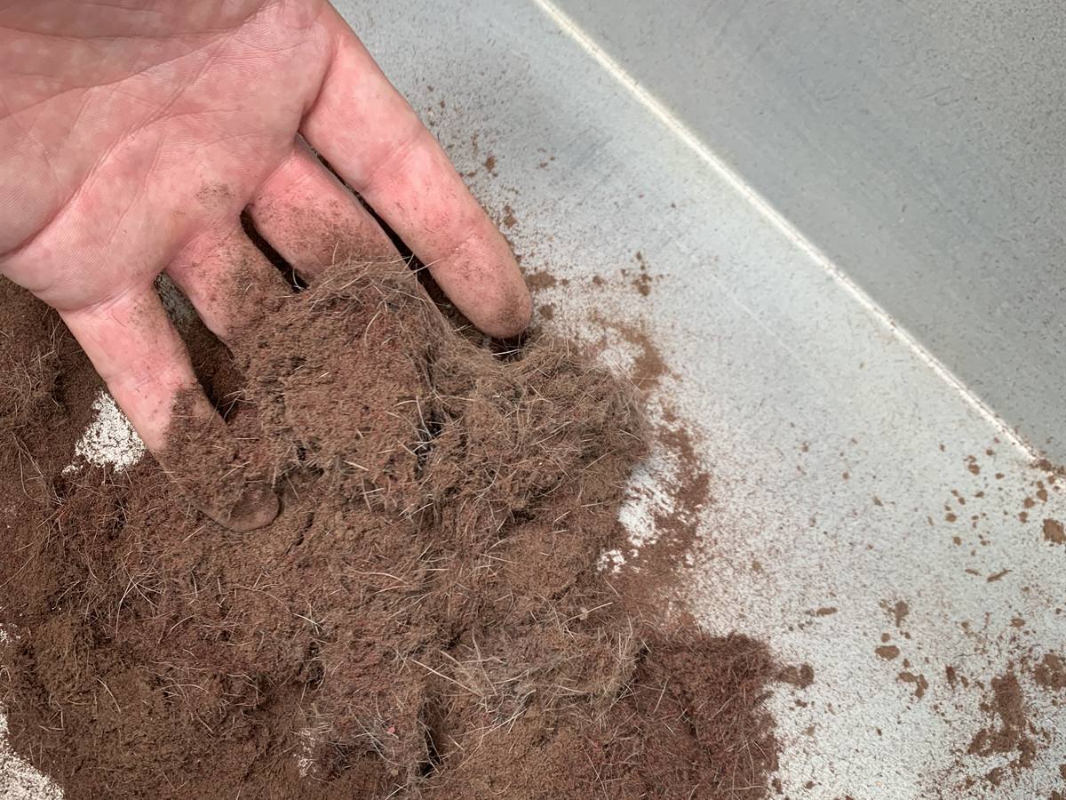 A handful of fine dry soil and fibre lifted from the tray under RugMaster's dusting machine after a single rug