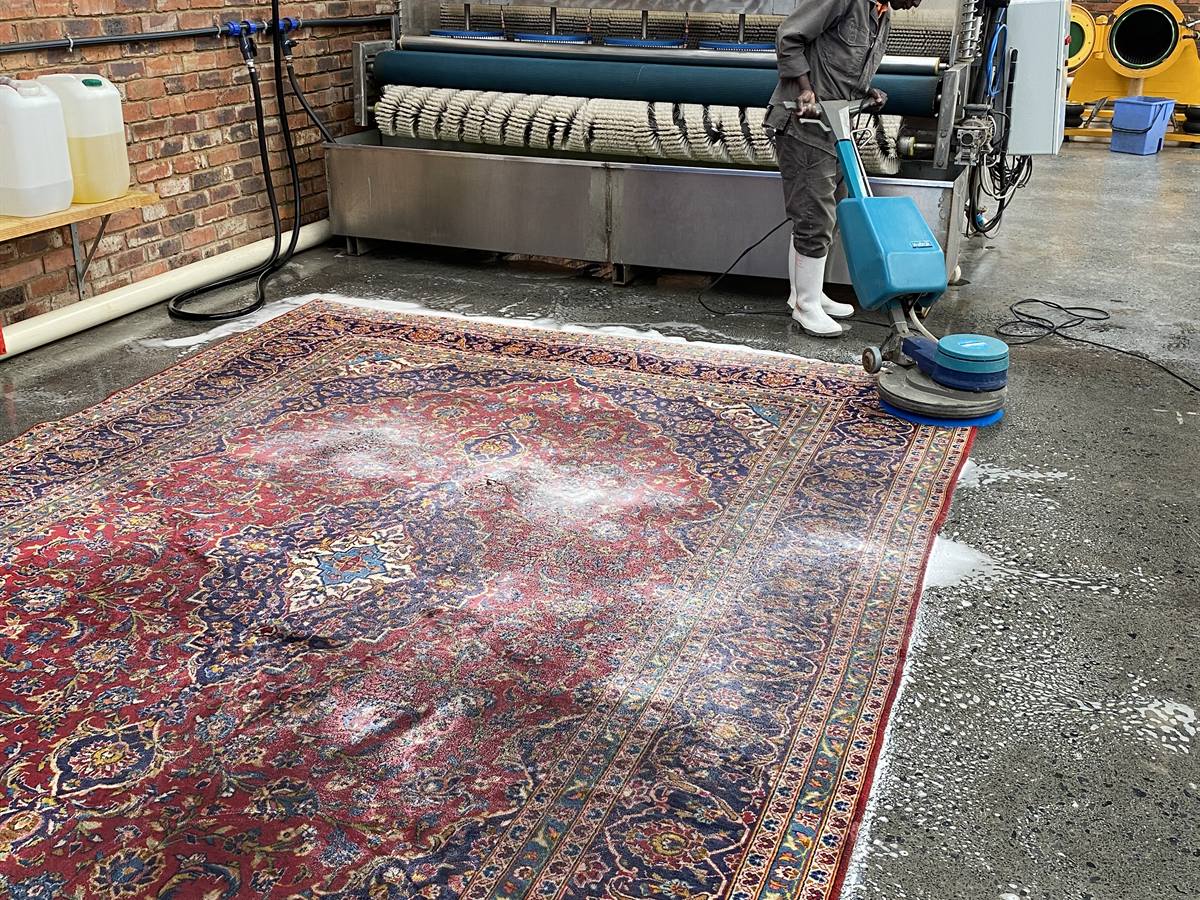 A RugMaster technician washing a red Persian rug with a rotary machine and cleaning foam